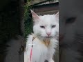 Day 3 Of The Honeypot Children S Charity Ride We Are So Back ЁЯШ ЁЯЪ тАНтЩВя П Day 3 Of The Honeypot Children S Charity Ride We Are So Back ЁЯШ ЁЯЪ тАНтЩВя П