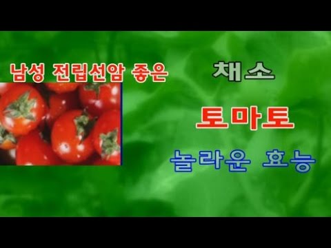 토마토 놀라운 효능