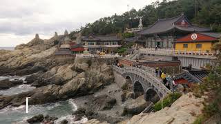 Sights & Sounds - Haedong Yonggungsa Temple