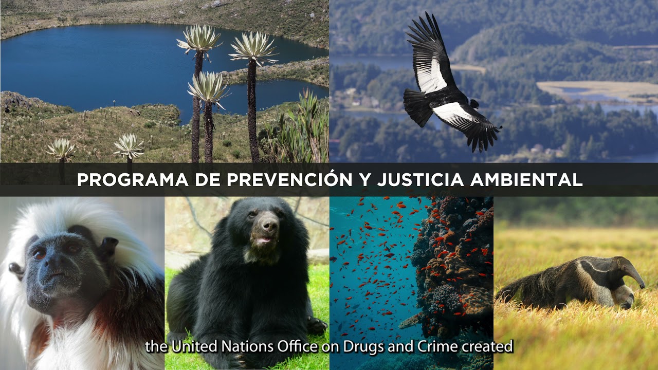 Programa de Prevención y Justicia Ambiental