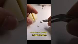 Crushing Mosquitoes Like A Boss