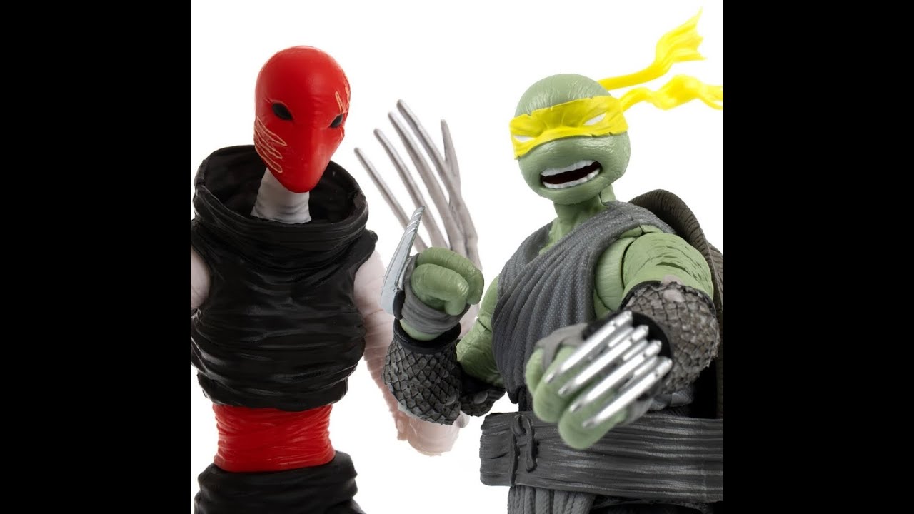 Teenage Mutant Ninja Turtles BTS AXN IDW Jennika and Foot Assassin 5-Inch Action Figure Case of 4