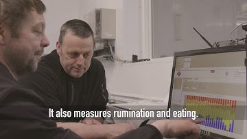 CowManager Explained by Dr. Nebel