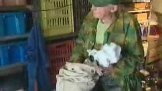 Trabant 100 Le - Napló