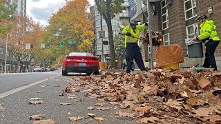 DSA/MID Clean Team: Leaves Team
