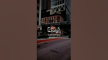 قال لا تخافا انني معكما اسمع وارى | القارئ : شريف مصطفى |