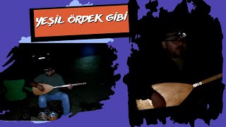 Halayın Başı Benem