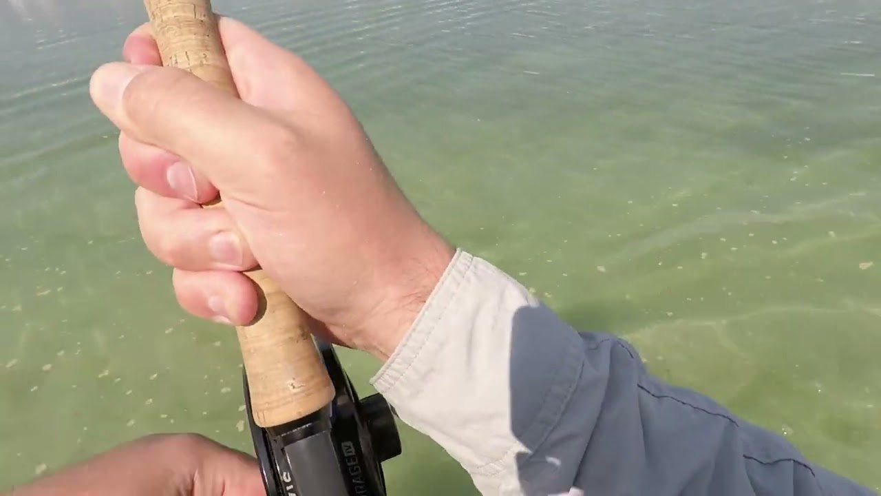 Fly Fishing Dubai - Sight casting for Golden Trevally, Jumeirah, Dubai, UAE