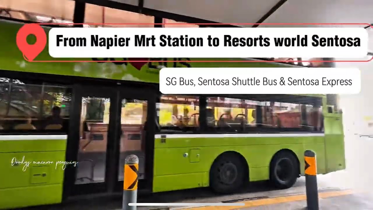 Travel with me | Napier Mrt Station to RWS | Singapore Bus, Sentosa ...