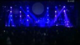 Video thumbnail of "MGMT - 4th Dimensional Transition live @ Lowlands 2008"