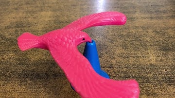 Balancing demonstration - STEM SOS PBL level 2 project