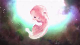 Pink Floyd - Embryo
