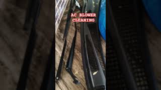 AC BLOWER CLEANING # Rat problem # maruthi zen estilo # technician #automobile #vehiclecare