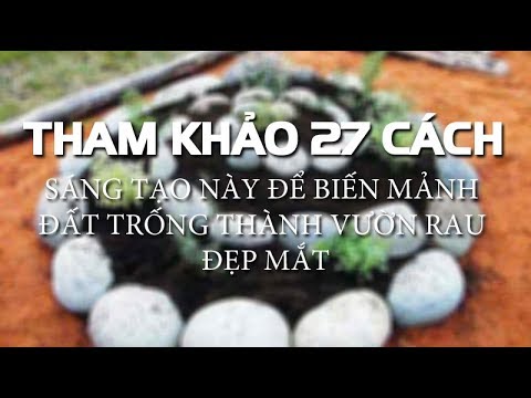 Video: Làm Thế Nào để Bố Trí Một Cái Ao Trong Khu Vườn Của Bạn