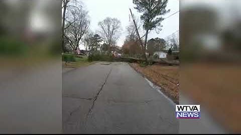 Nettleton tree brings down power lines