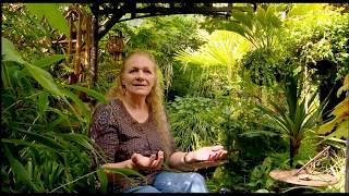 Tiny, low budget tropical paradise UK, Britain’s Best Back Gardens 2015