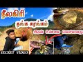 Gold mines in nilgiri tamilnadu  gold mining in tamil nadu  edison vlogs tamil