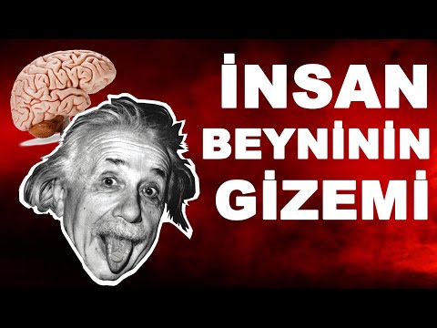 İnsan Beyninin Gizemleri - En Az 20 Saat uyuyun - Belgesel