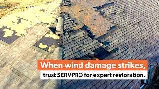 When wind damage strikes, trust SERVPRO of Springfield / East Lane County.