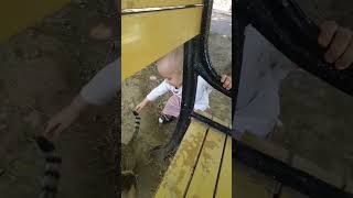 ماما یاروح ماما بابا فین #cutebaby #cute #viral #shorts sho#king #kids