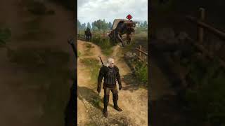 The Witcher 3: Wild Hunt | Nilfguard Garrison | Chort | Temeria | White Orchid | #witcher3 #witcher