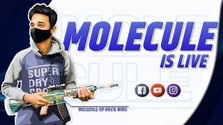 🔴 ROAD TO 400 SUB  |MOLECULE IS LIVE..!!! screenshot 1