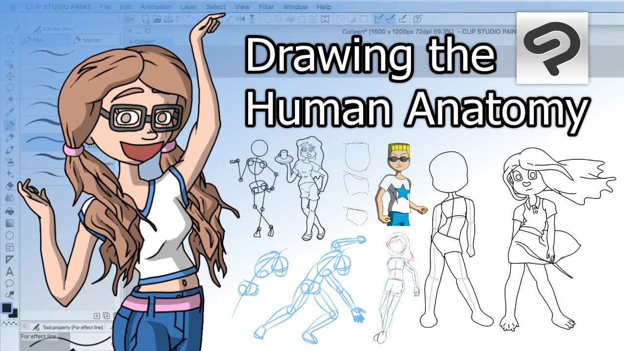 Learn Anatomy Drawing