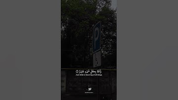 { وَٱللَّهُ بِكُلِّ شَيۡءٍ عَلِيمٞ } || سورة التغابن || بصوت القارئ رعد الكردي