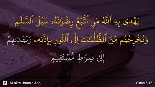 Al-Ma'idah ayat 16