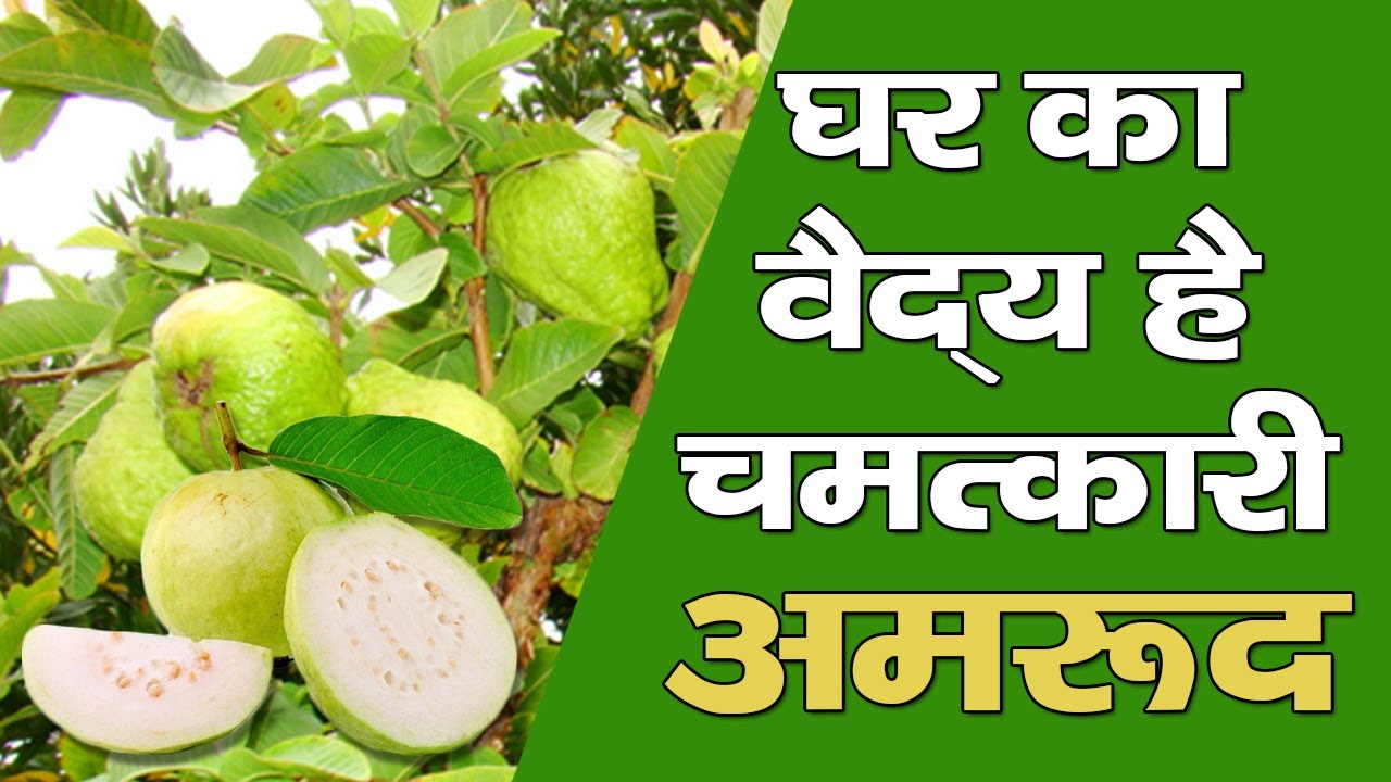 घर का वैद्य है चमत्कारी अमरूद || Amazing Health Benifits Of Guava || Health Tips