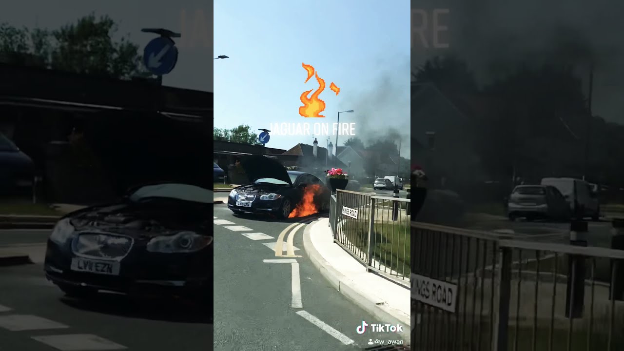 Jaguar on Fire YouTube