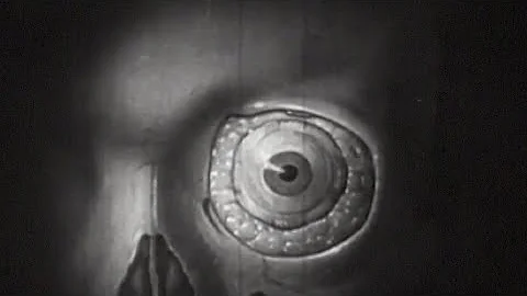 flora cash - we used to laugh / 9 to 9 (Visualizer)