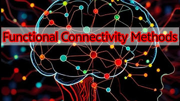 Functional Connectivity Methods ｜ Seed Based Analysis and more
