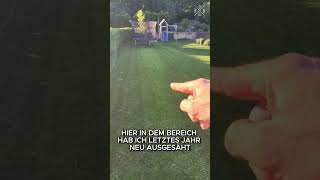 7 Tonnen Lehm vs. Feierabend! 🥵 Poolbau DIY Part 2