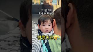 베넷머리 미용.. 절망편