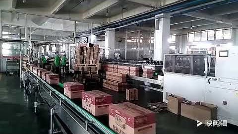Automatic Case Packing Line, Case Erector, Case Packer and Case Sealer Machine