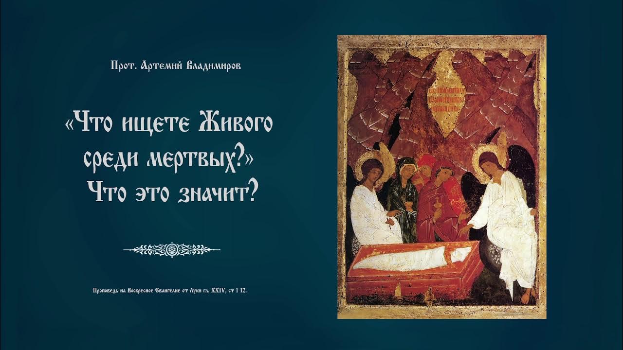 найти человека среди мертвых. найти человека среди мертвых. что ищете живого среди мертвых. найти человека среди мертвых. как живут люди на кладбищах.