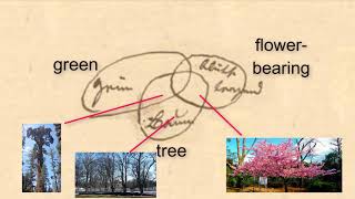 The Productive Ambiguity Of Venns Three Circles