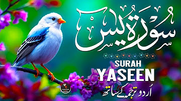Surah Yaseen (Yasin) سورة يس | Ultimate Relaxing Quran Will Touch Your Heart إن شاء | #surahyaseen