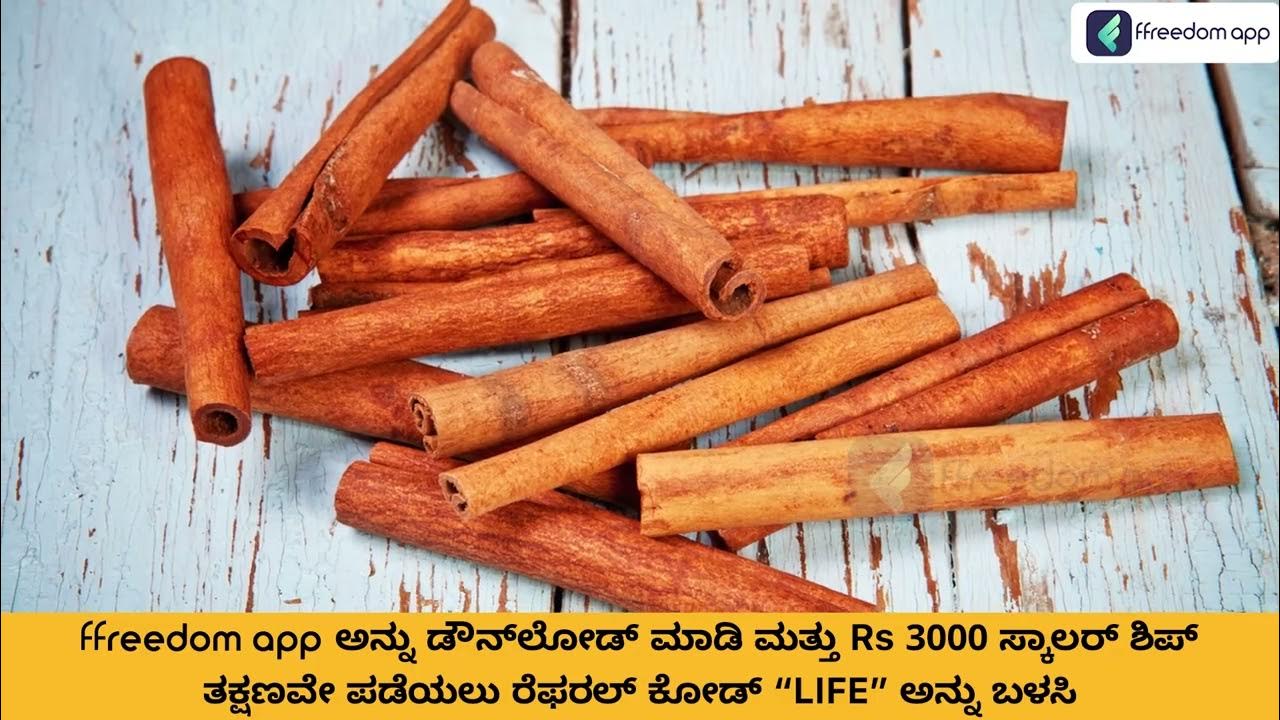 Cinnamon Cultivation Course Trailer in Kannada ffreedom app YouTube