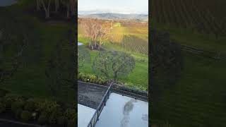 Download Lagu Een rustig moment waarop de wijngaard zich uitstrekt en alles kalm aanvoelt. MP3