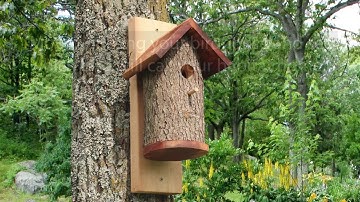 Homemade Bird Houses from a Natural Log (DIY Nesting Bird Box)