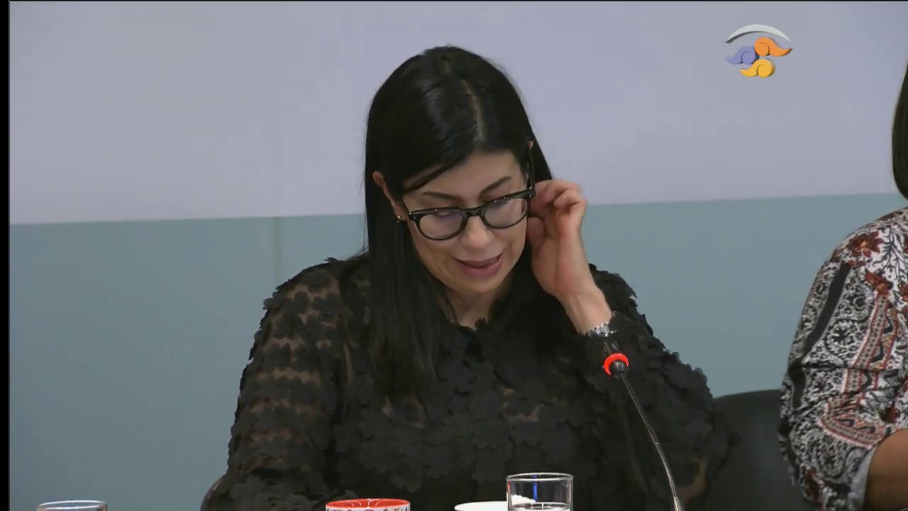 Primera parte de la reuníon de la Comisión de Relaciones Exteriores América Latina y el Caribe senador kahulugan