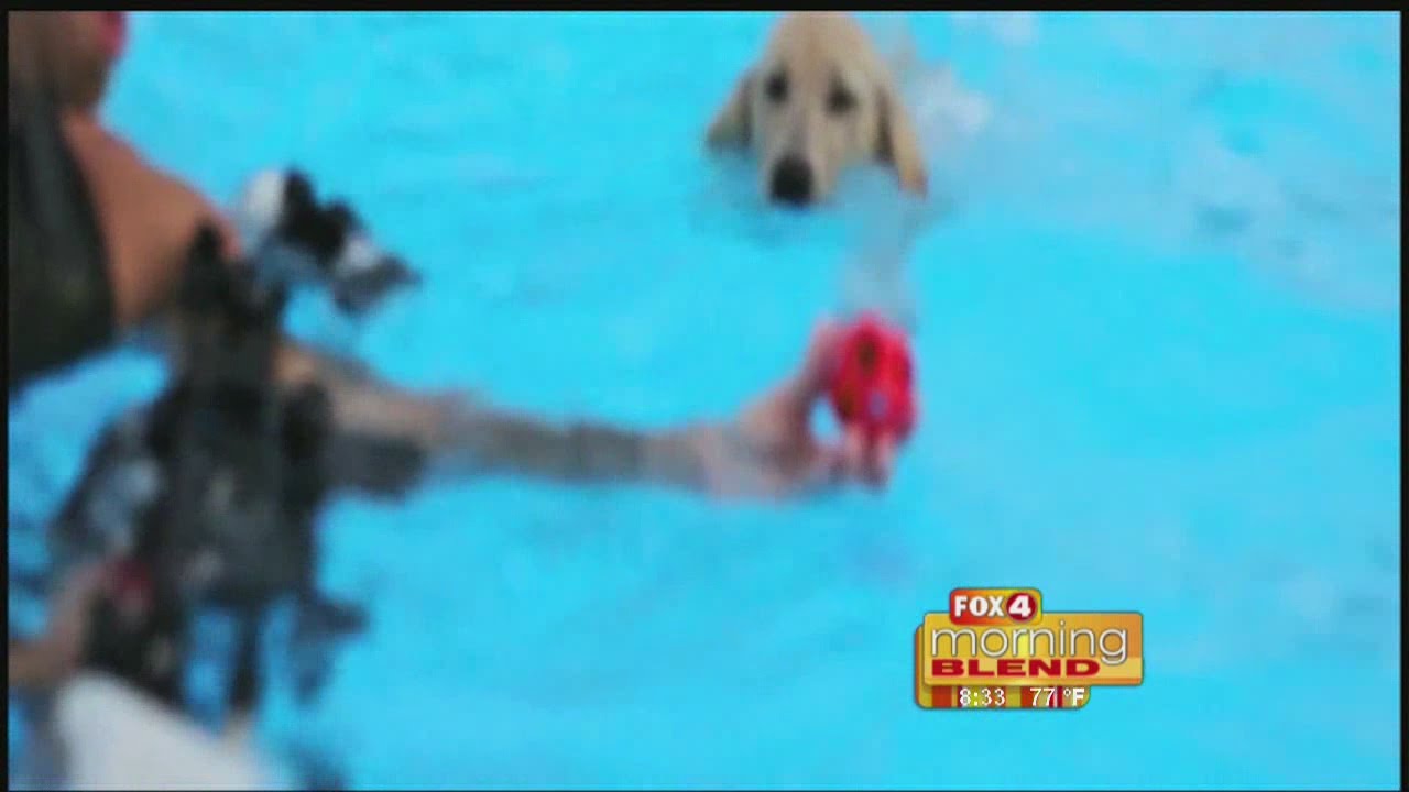 Underwater Dogs Photo Shoot with Seth Cassel 4/15/16