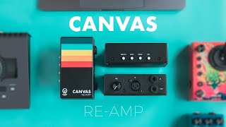 Walrus Audio: Canvas Passive Re-Amp