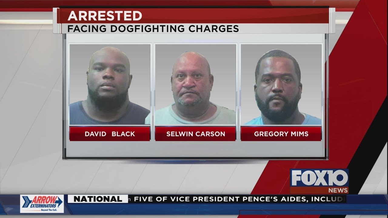 Three men charged with dog fighting in Mobile