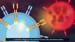 CAR TCell Therapy: How Does It Work?