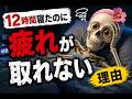疲労回復の常識ほぼ間違ってました #疲労回復#脳科学#骸骨#雑学