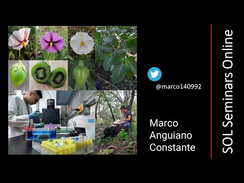Marco Anguiano Constante - Biogeography of Lycianthes in Mexico
