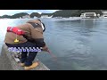 和歌山で堤防釣りをしたら...あのお宝が釣れた。
